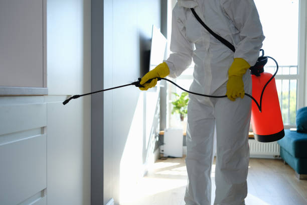 Best Professional Mold Removal  in New California, OH