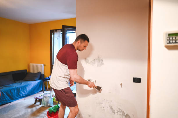 Best Commercial Mold Removal  in New California, OH
